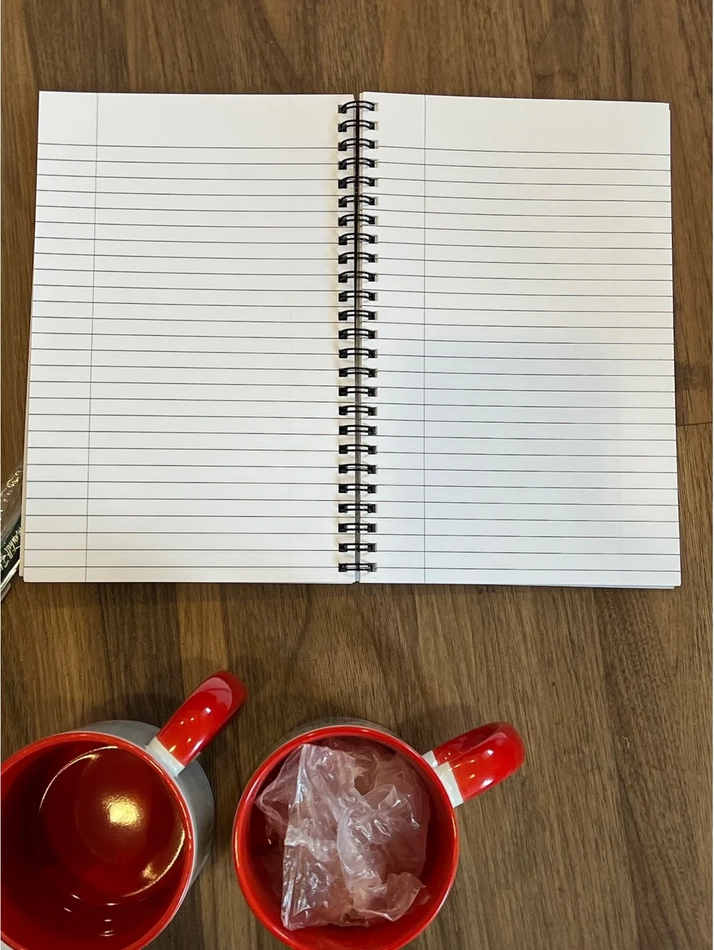 macy's parade masterpiece studio / Marshall Field's Cello Pen & Notebook
